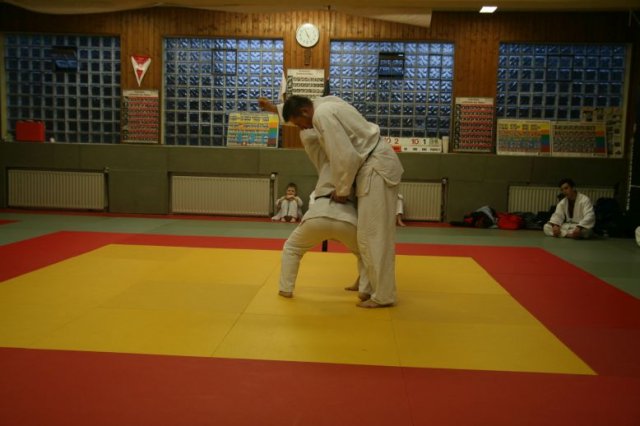 Judolehrgang Bodentechniken / SV / Treechallenge