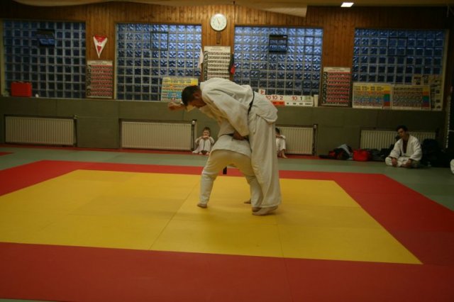 Judolehrgang Bodentechniken / SV / Treechallenge