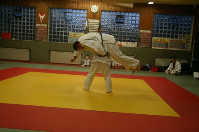 Judolehrgang Bodentechniken / SV / Treechallenge