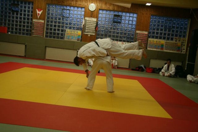 Judolehrgang Bodentechniken / SV / Treechallenge