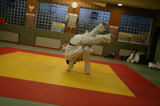Judolehrgang Bodentechniken / SV / Treechallenge