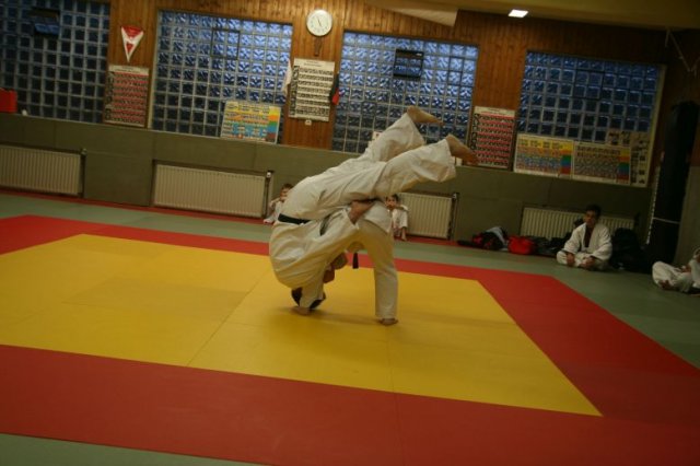 Judolehrgang Bodentechniken / SV / Treechallenge