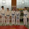 Judolehrgang Bodentechniken / SV / Treechallenge