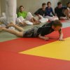 Judolehrgang Bodentechniken / SV / Treechallenge