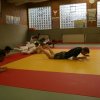 Judolehrgang Bodentechniken / SV / Treechallenge