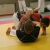 Judolehrgang Bodentechniken / SV / Treechallenge