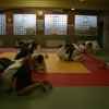 Judolehrgang Bodentechniken / SV / Treechallenge