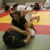 Judolehrgang Bodentechniken / SV / Treechallenge
