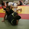 Judolehrgang Bodentechniken / SV / Treechallenge