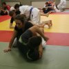 Judolehrgang Bodentechniken / SV / Treechallenge