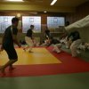 Judolehrgang Bodentechniken / SV / Treechallenge