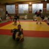 Judolehrgang Bodentechniken / SV / Treechallenge