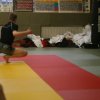 Judolehrgang Bodentechniken / SV / Treechallenge