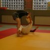 Judolehrgang Bodentechniken / SV / Treechallenge