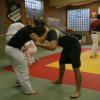 Judolehrgang Bodentechniken / SV / Treechallenge