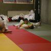 Judolehrgang Bodentechniken / SV / Treechallenge
