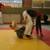 Judolehrgang Bodentechniken / SV / Treechallenge