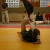 Judolehrgang Bodentechniken / SV / Treechallenge