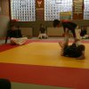 Judolehrgang Bodentechniken / SV / Treechallenge