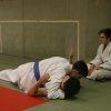 Judolehrgang Bodentechniken / SV / Treechallenge