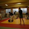 Judolehrgang Bodentechniken / SV / Treechallenge