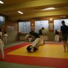 Judolehrgang Bodentechniken / SV / Treechallenge
