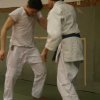 Judolehrgang Bodentechniken / SV / Treechallenge