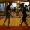 Judolehrgang Bodentechniken / SV / Treechallenge