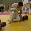 Judolehrgang Bodentechniken / SV / Treechallenge