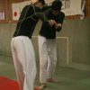 Judolehrgang Bodentechniken / SV / Treechallenge