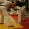 Judolehrgang Bodentechniken / SV / Treechallenge