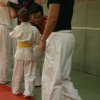 Judolehrgang Bodentechniken / SV / Treechallenge