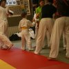 Judolehrgang Bodentechniken / SV / Treechallenge