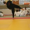 Judolehrgang Bodentechniken / SV / Treechallenge
