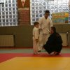 Judolehrgang Bodentechniken / SV / Treechallenge