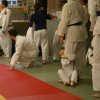 Judolehrgang Bodentechniken / SV / Treechallenge