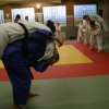 Judolehrgang Bodentechniken / SV / Treechallenge