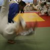 Judolehrgang Bodentechniken / SV / Treechallenge