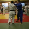 Judolehrgang Bodentechniken / SV / Treechallenge