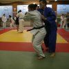Judolehrgang Bodentechniken / SV / Treechallenge