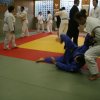 Judolehrgang Bodentechniken / SV / Treechallenge