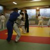 Judolehrgang Bodentechniken / SV / Treechallenge