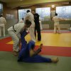 Judolehrgang Bodentechniken / SV / Treechallenge