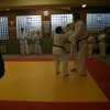 Judolehrgang Bodentechniken / SV / Treechallenge