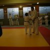 Judolehrgang Bodentechniken / SV / Treechallenge