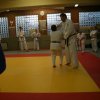 Judolehrgang Bodentechniken / SV / Treechallenge