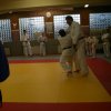 Judolehrgang Bodentechniken / SV / Treechallenge