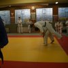 Judolehrgang Bodentechniken / SV / Treechallenge