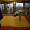 Judolehrgang Bodentechniken / SV / Treechallenge