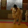 Judolehrgang Bodentechniken / SV / Treechallenge